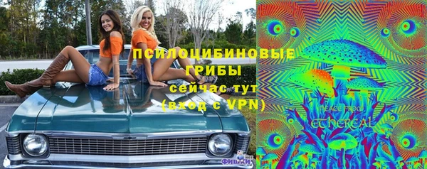 apvp Абаза