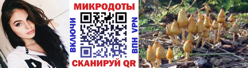 купить наркоту Липецк Псилоцибиновые грибы Magic Shrooms