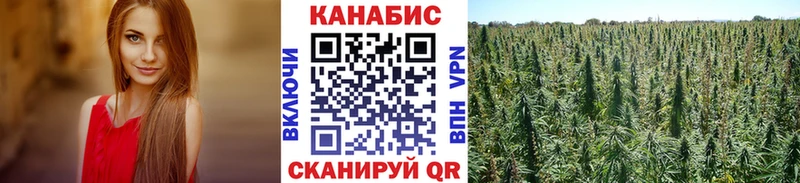 KRAKEN tor Липецк МАРИХУАНА Ganja